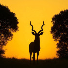 INTIMATE ADVENTURES (Tours & Travel)